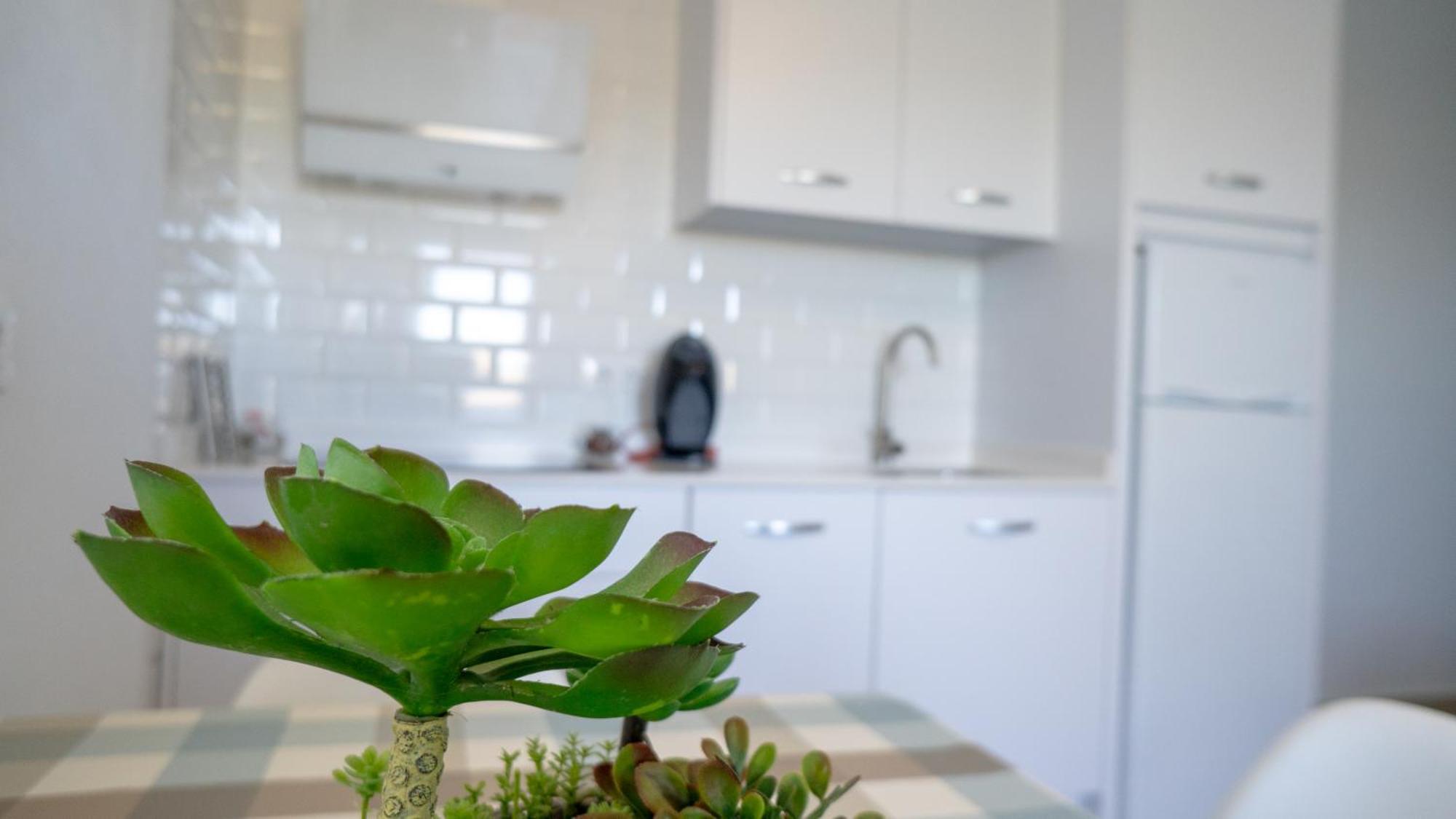 Rural Tarifa Villa Maria エクステリア 写真