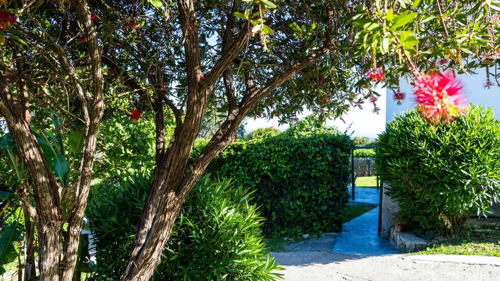 Rural Tarifa Villa Maria エクステリア 写真