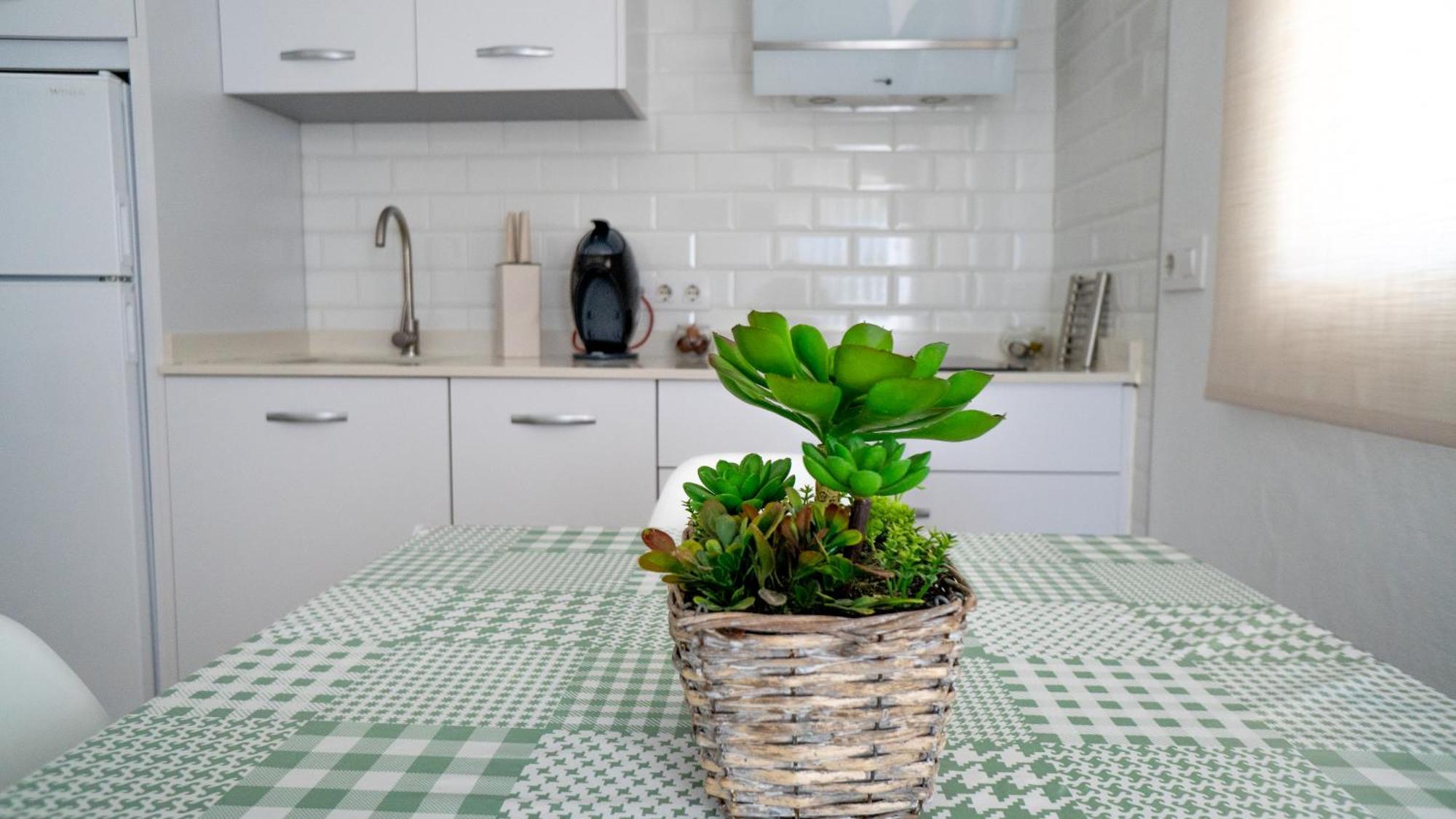 Rural Tarifa Villa Maria エクステリア 写真
